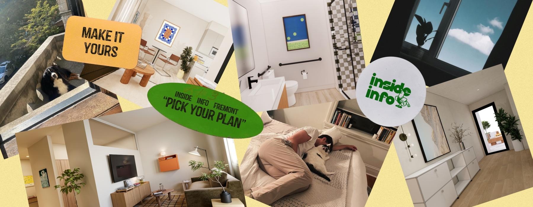 a collage of photos including a apartment images and a person laying on a bed with a cat