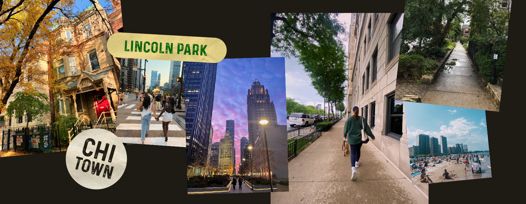 Why Move to Lincoln Park