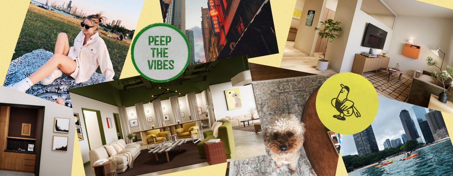 a collage of photos including a dog and a person hanging out at a park