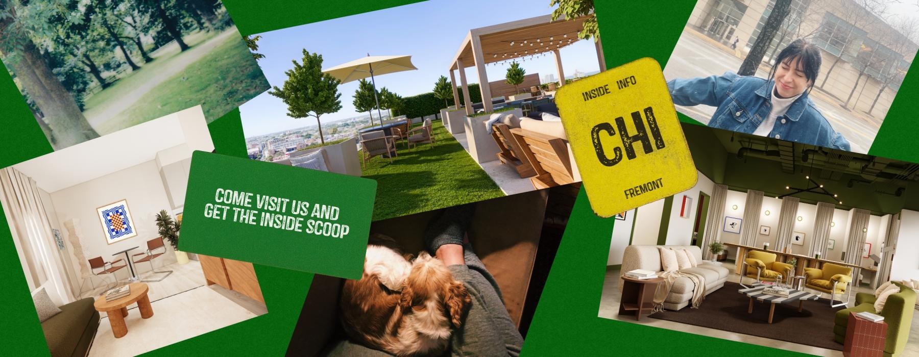 a collage of photos including a person with a dog and person outside